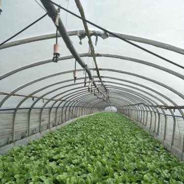 EVA長壽流滴膜批發透明塑料薄膜溫室無滴大棚膜長壽流滴膜
