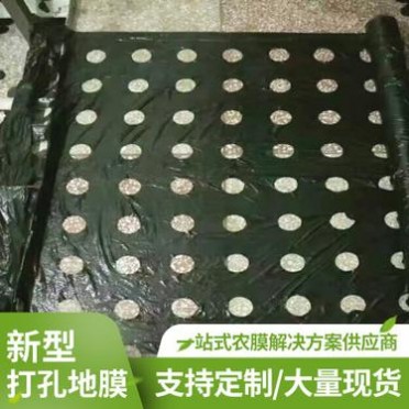 塑料打孔地膜 專業生產打孔包裝膜 廠家農膜定制批發黑白打孔地膜