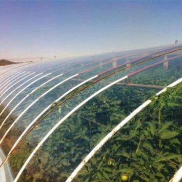 農用PO膜大棚塑料薄膜山東廠家批發大棚農用塑料薄膜加厚定制