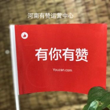 河南安陽有贊**格_服務熱線-中國有贊小程序