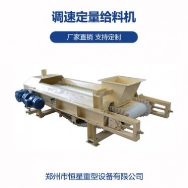 生產批發輸送配料定量給料秤 電子計量皮帶給料機